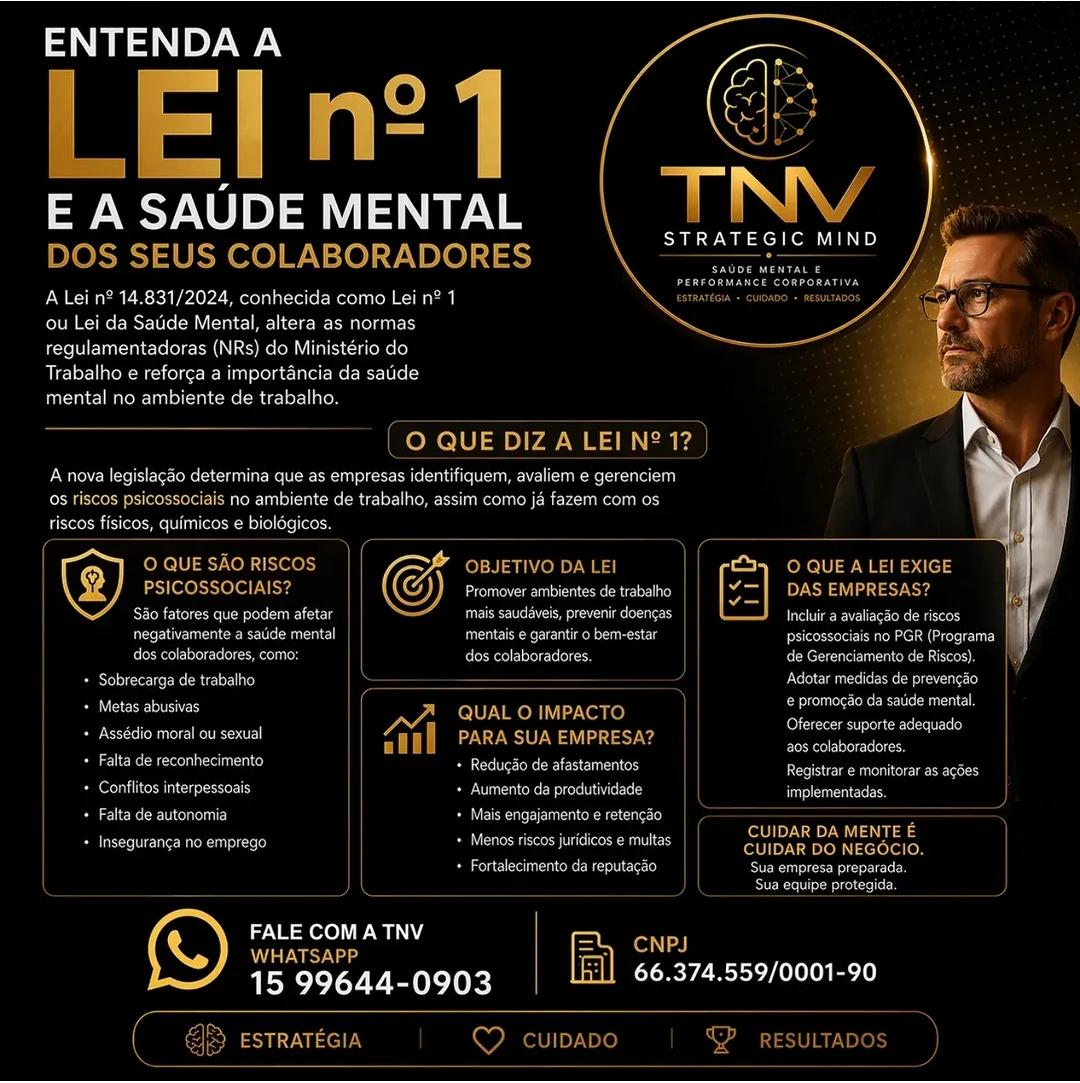 Entenda a Lei nº 1 e a saúde mental dos seus colaboradores — TNV Strategic Mind